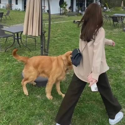 向往的生活老友记